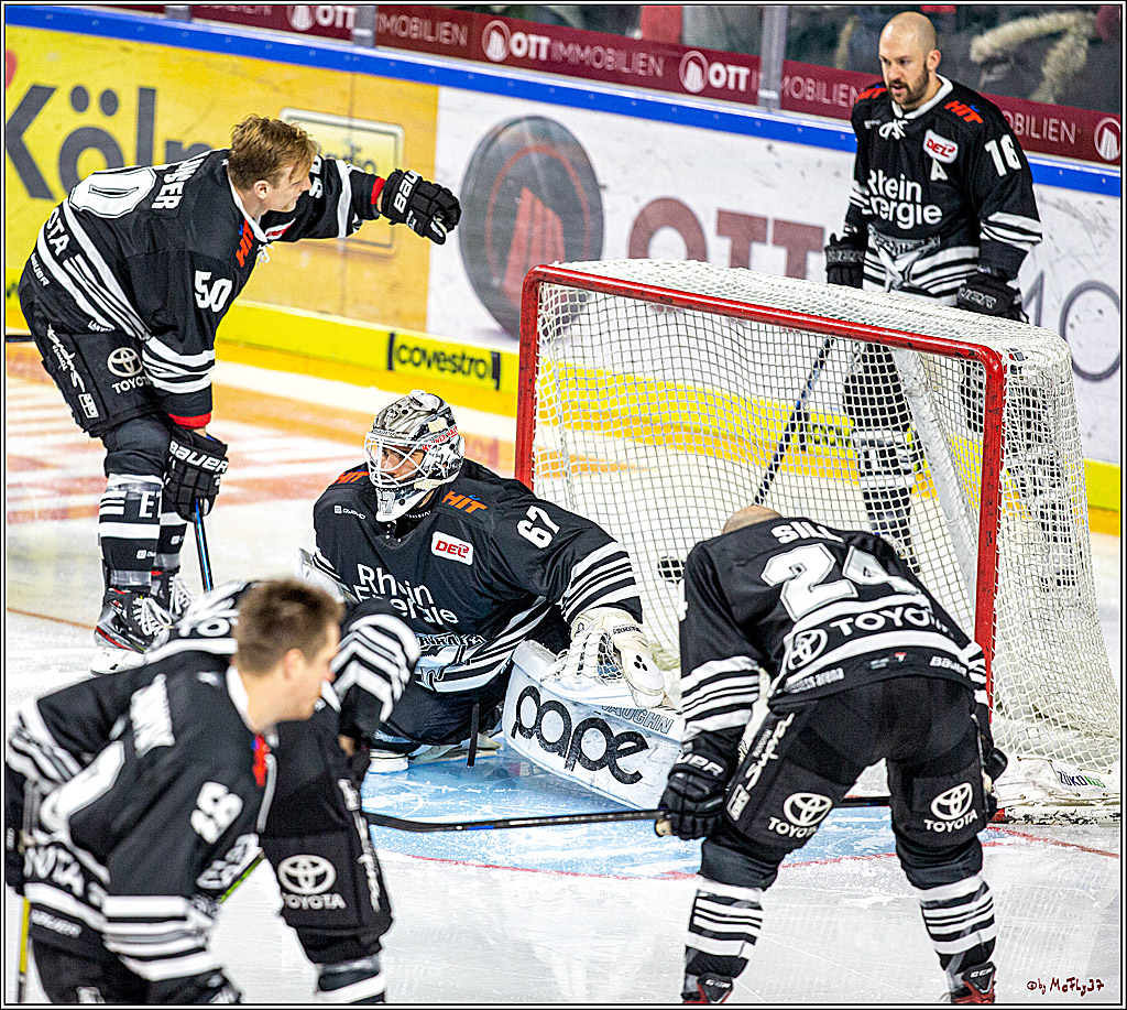 DEL; Koelner Haie - Krefeld Pinuguine; Koeln, 24.11.2019